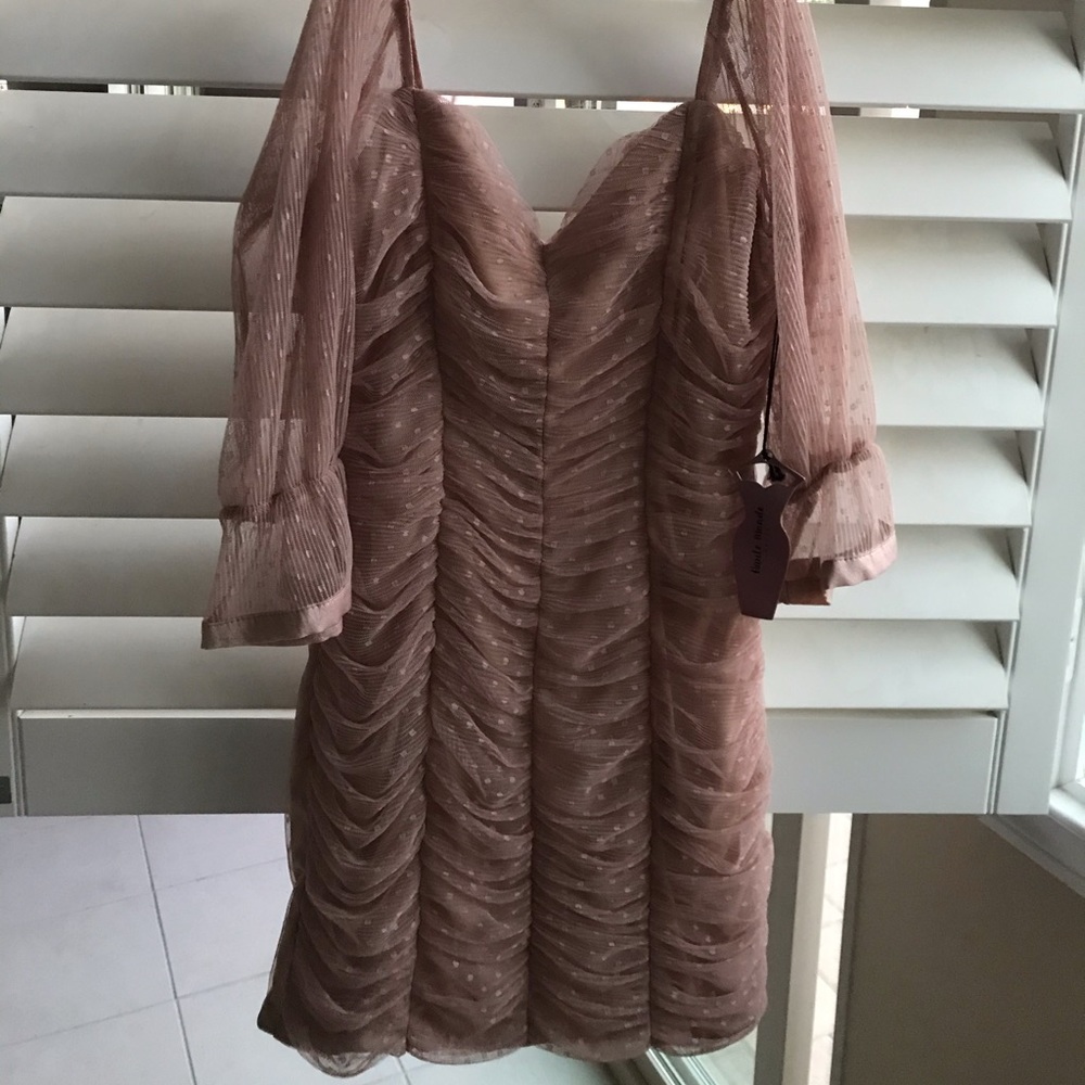 Mini soft rose dress NWT